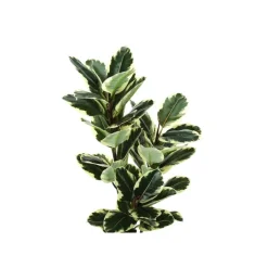 Artificial plant - 47