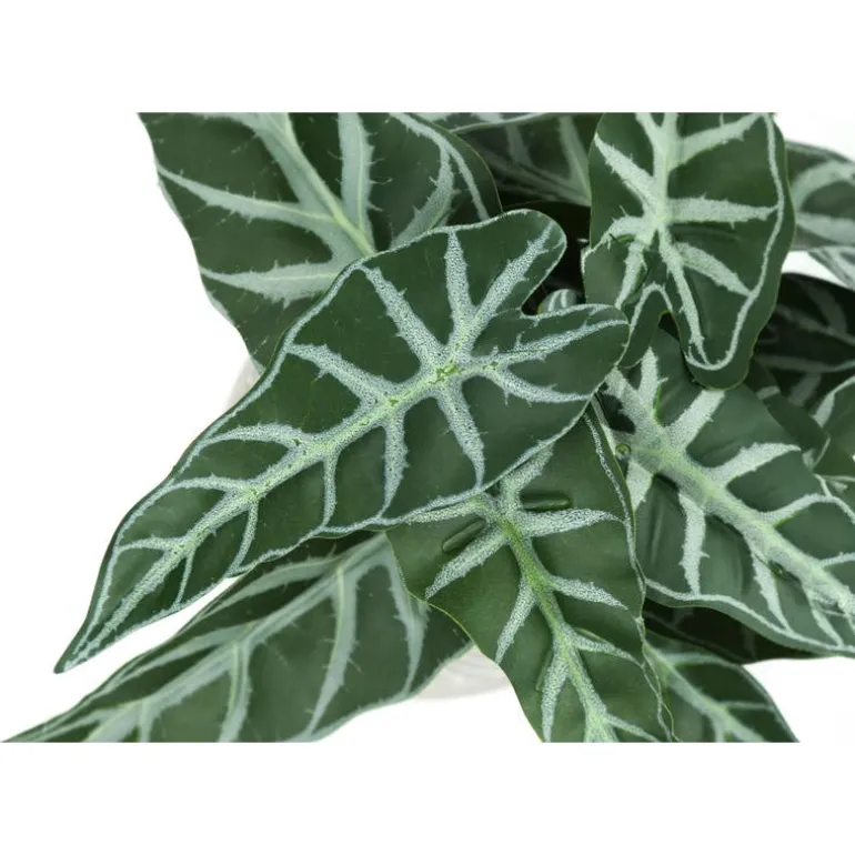 Artificial plant - 2pcs / 8"h alocasia / 5" cement pot