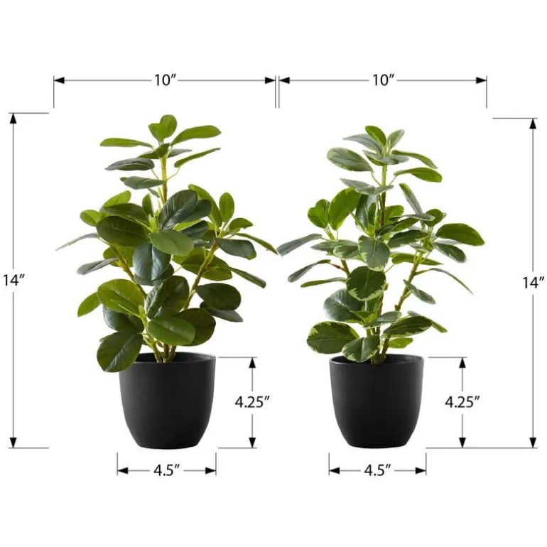 Artificial plant - 2pcs / 14"h ficus elastica in 4" pot