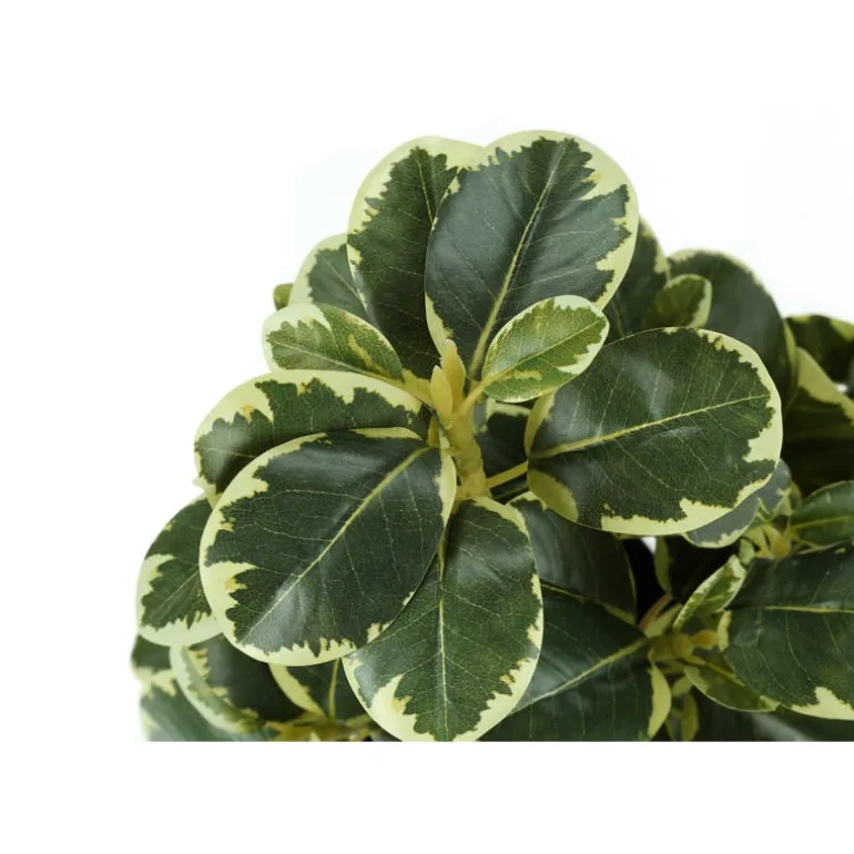 Artificial plant - 2pcs / 14"h ficus elastica in 4" pot
