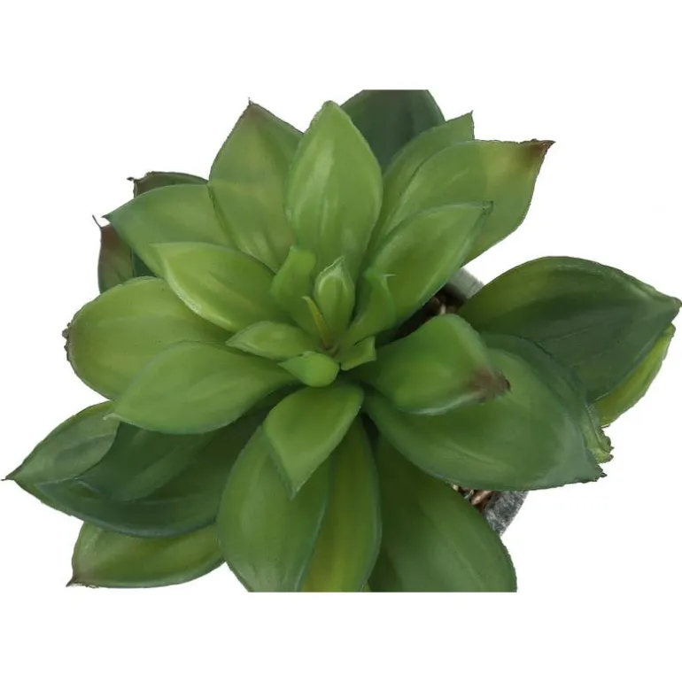 Artificial plant - 2pcs / 7"h succulent in 4" cement pot