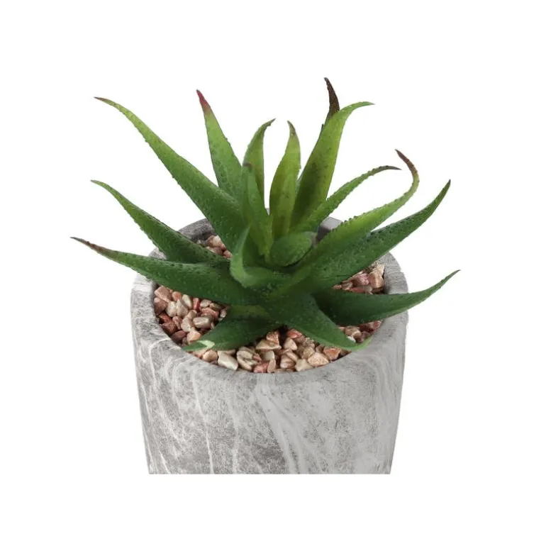 Artificial plant - 2pcs / 7"h succulent in 4" cement pot