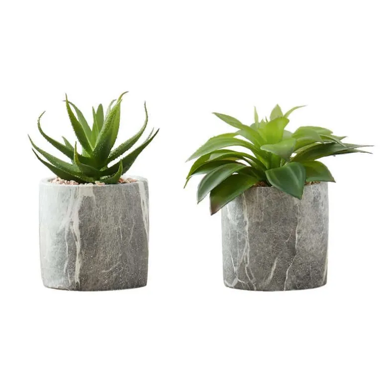 Artificial plant - 2pcs / 7"h succulent in 4" cement pot