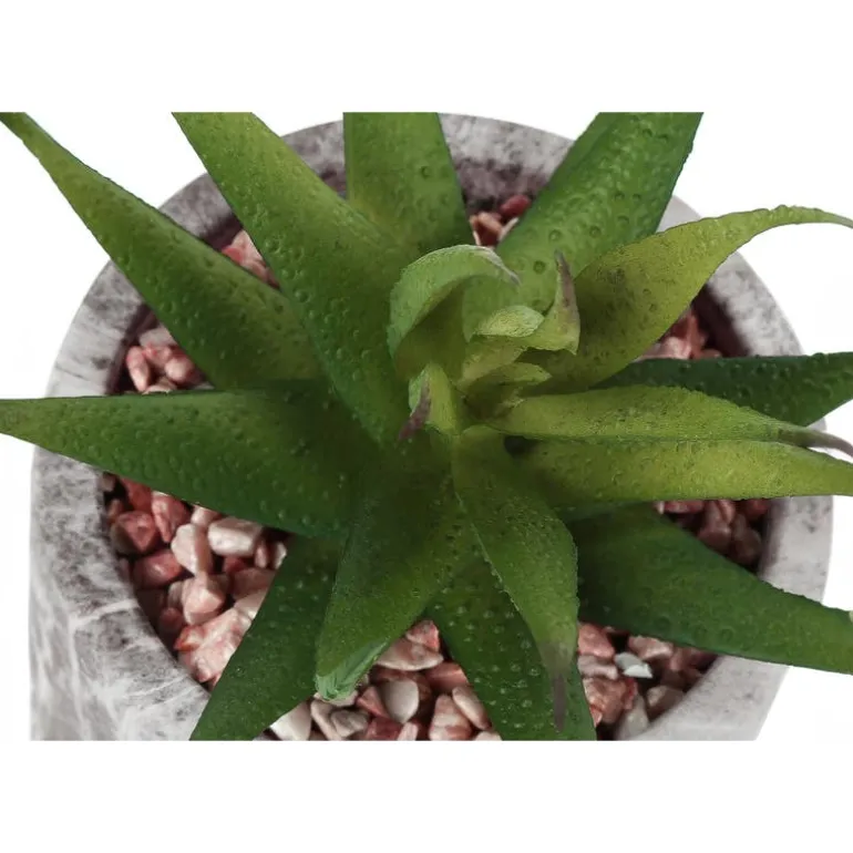 Artificial plant - 2pcs / 7"h succulent in 4" cement pot