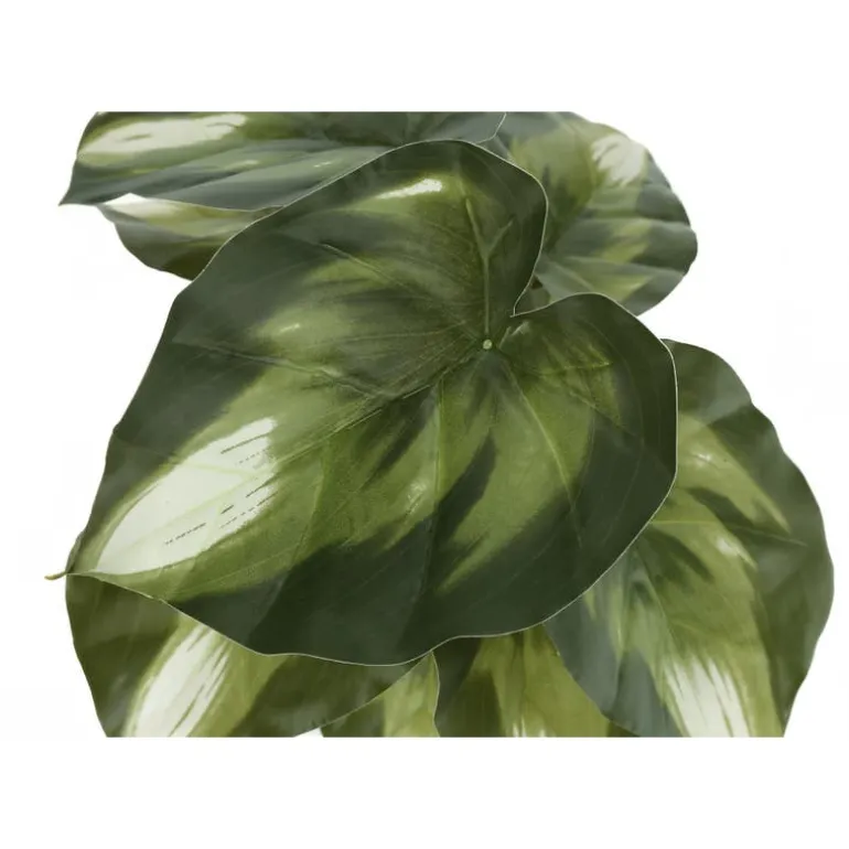Artificial plant - 2pcs / 13"h monstera/calathea/ 4" pot