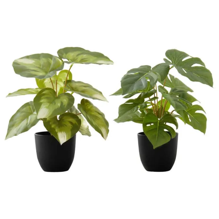 Artificial plant - 2pcs / 13"h monstera/calathea/ 4" pot