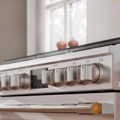 Frigidaire Professional Range Stainless 30