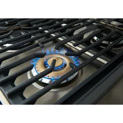 Frigidaire Professional Range Stainless 36