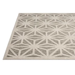 Indoor or Outdoor Rug - 8 x 10