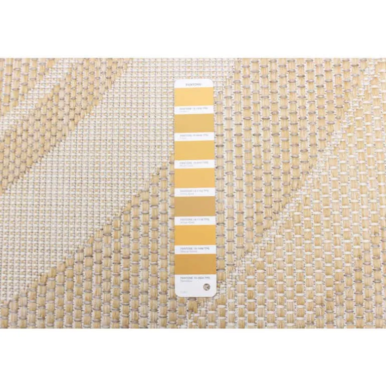 Indoor or Outdoor Rug - 5 x 7