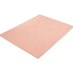 Indoor or Outdoor Rug - 5 x 7