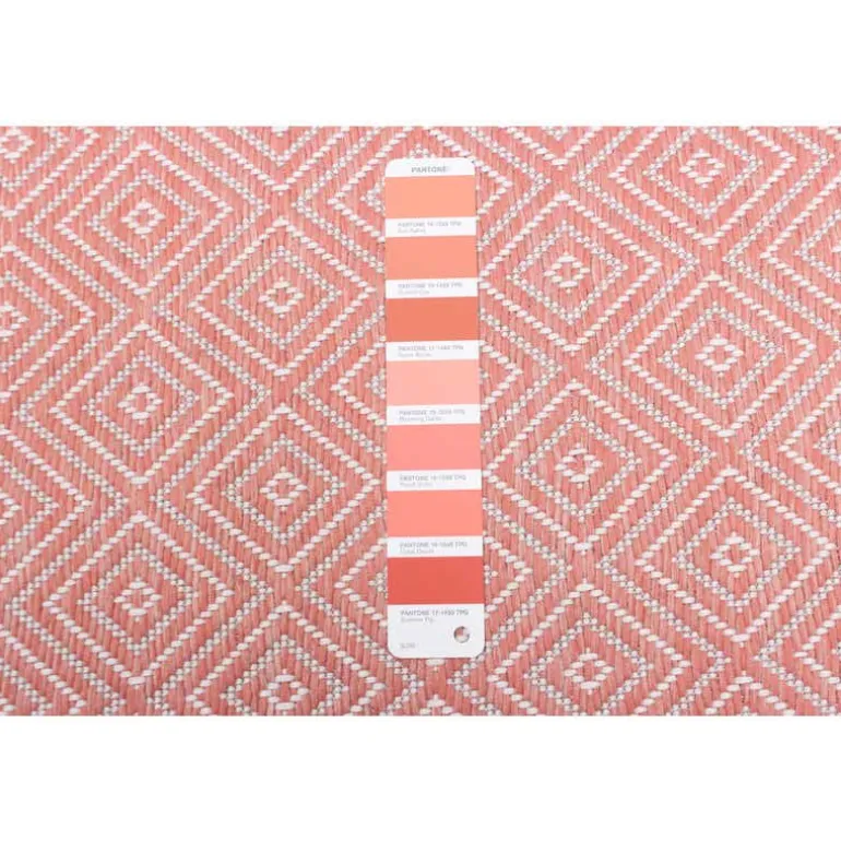 Indoor or Outdoor Rug - 5 x 7