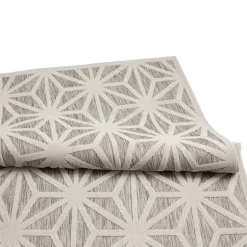 Indoor or Outdoor Rug - 5 x 8