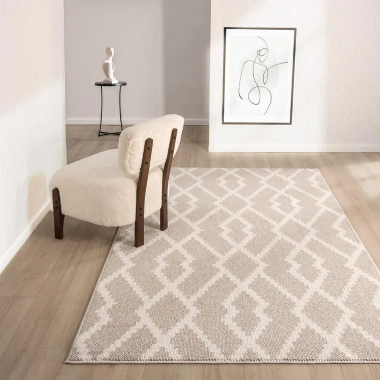 Indoor Rug - 5 x 8