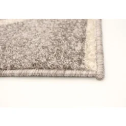 Indoor Rug - 4 x 6