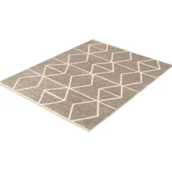 Indoor Rug - 4 x 6