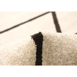 Indoor Rug - 8 x 10