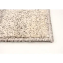 Indoor Rug - 4 x 6