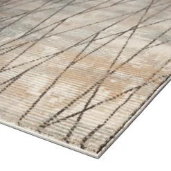 Indoor Rug - 8 x 11