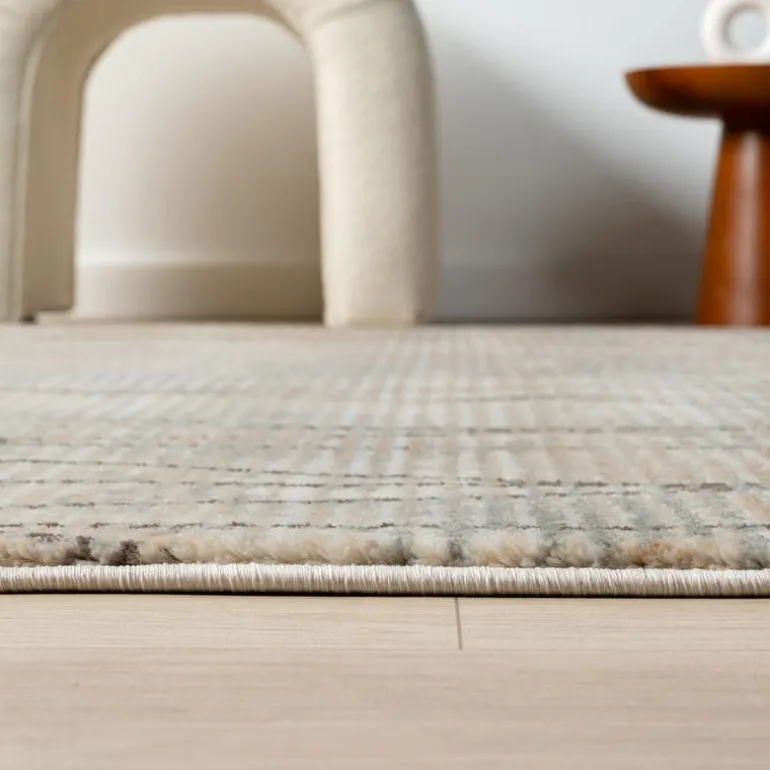 Indoor Rug - 8 x 11