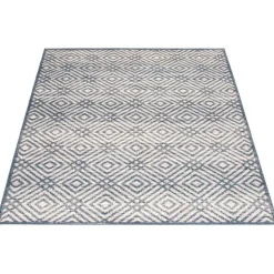Indoor Rug - 4 x 6