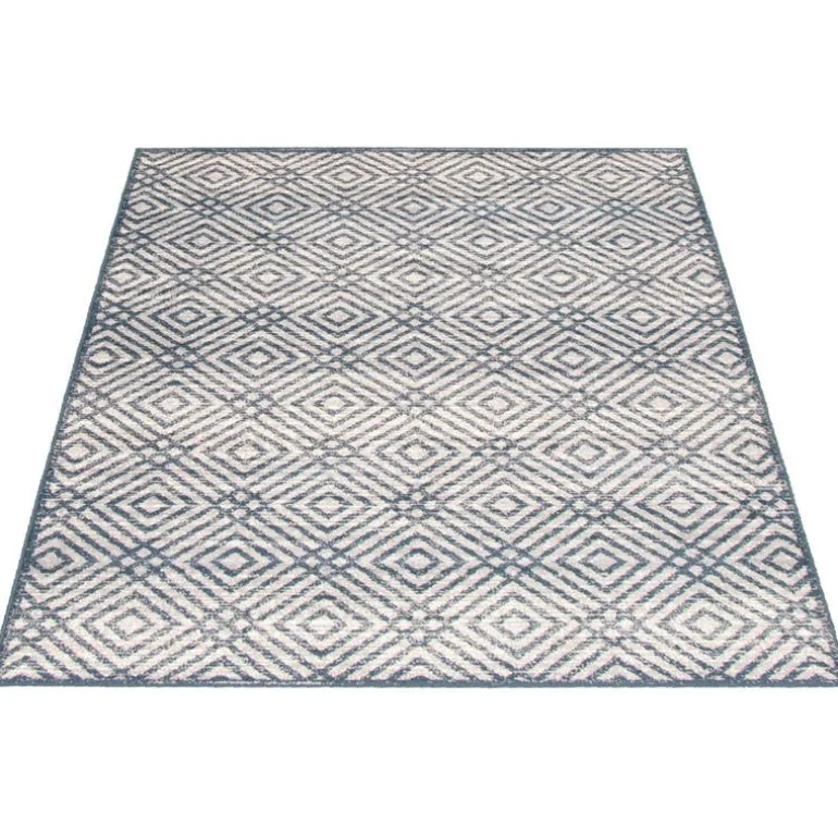 Indoor Rug - 4 x 6