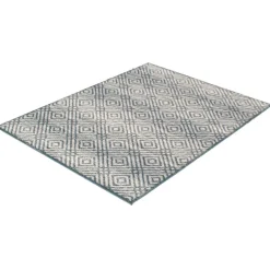Indoor Rug - 4 x 6