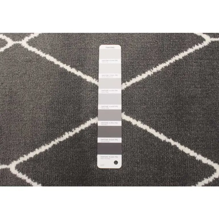 Indoor Rug - 5 x 7