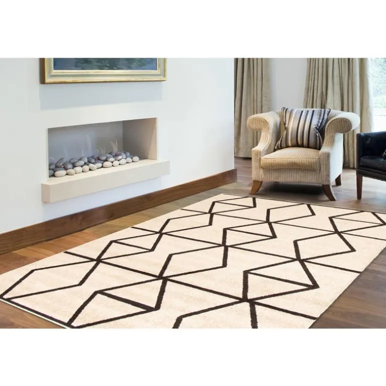Indoor Rug - 4 x 6
