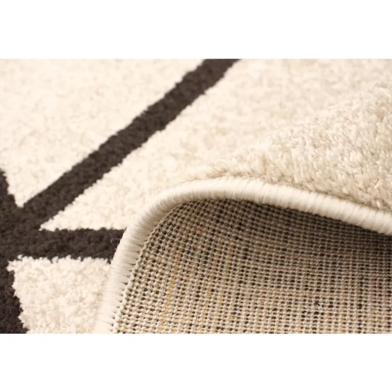 Indoor Rug - 4 x 6