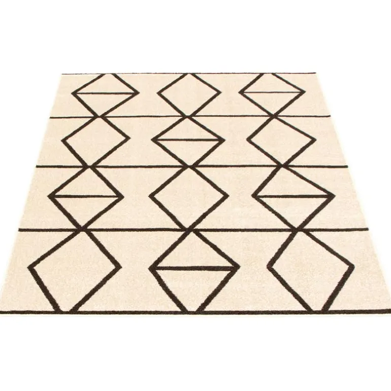 Indoor Rug - 4 x 6