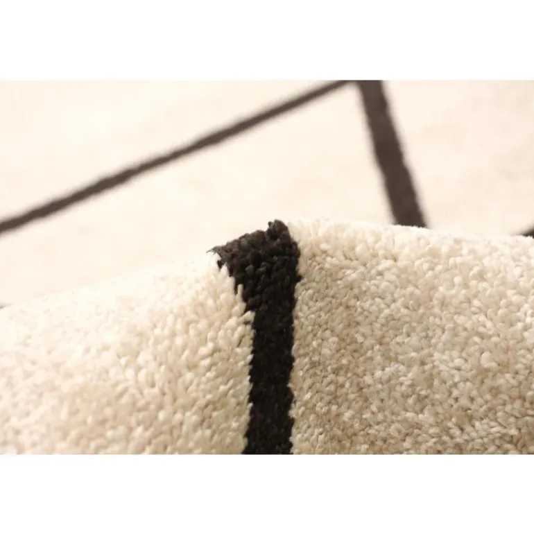 Indoor Rug - 4 x 6