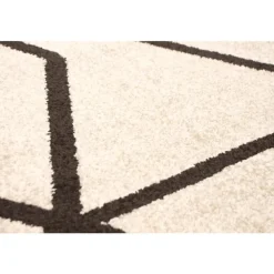 Indoor Rug - 4 x 6