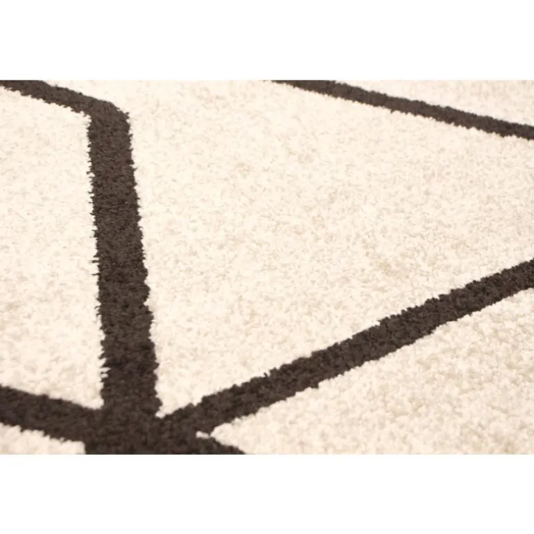 Indoor Rug - 4 x 6