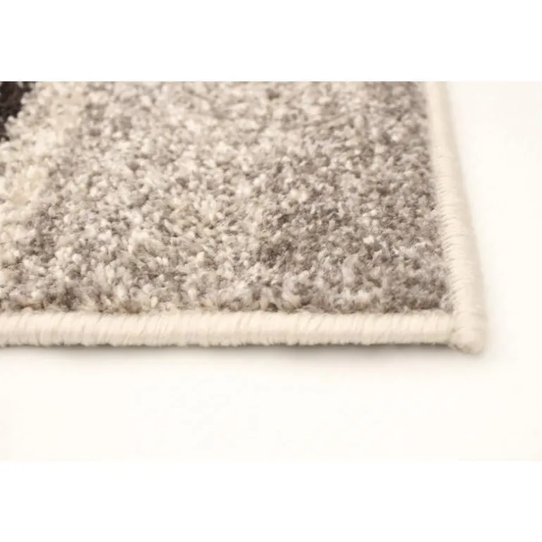 Indoor Rug - 4 x 6
