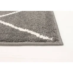 Indoor Rug - 8 x 10