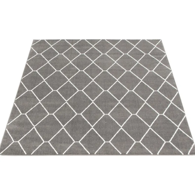 Indoor Rug - 8 x 10