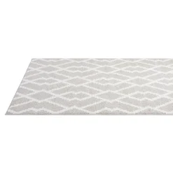 Indoor Rug - 6 x 9