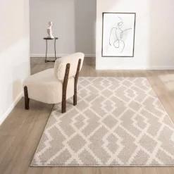 Indoor Rug - 6 x 9