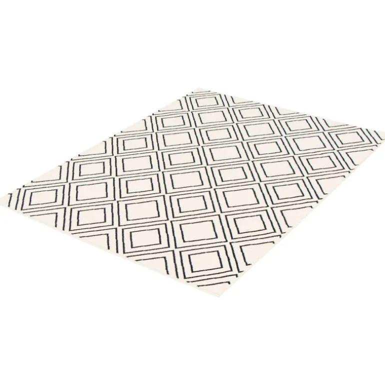 Indoor Rug - 8 x 10