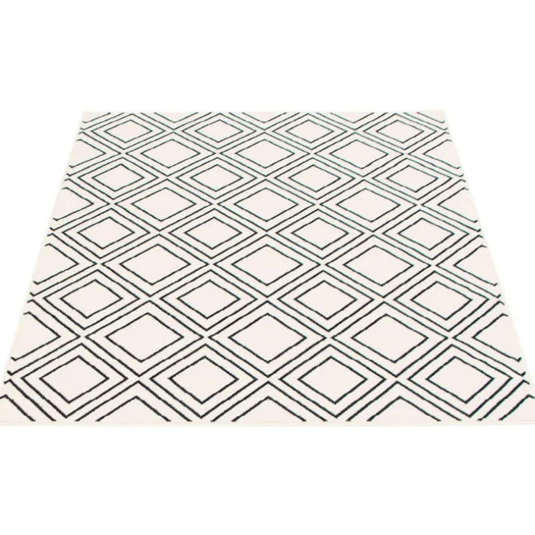Indoor Rug - 8 x 10