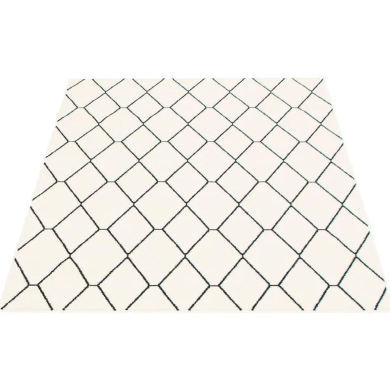 Indoor Rug - 8 x 10