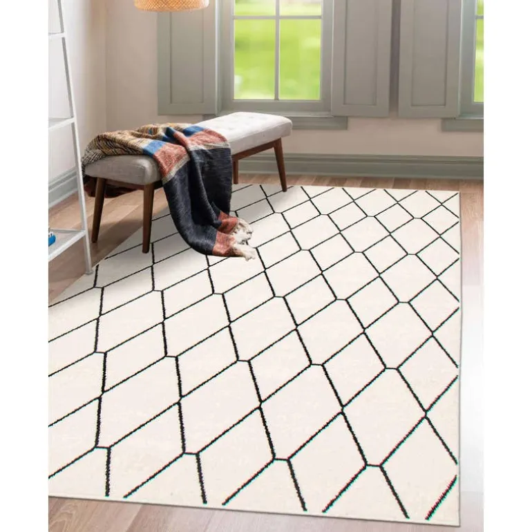 Indoor Rug - 8 x 10