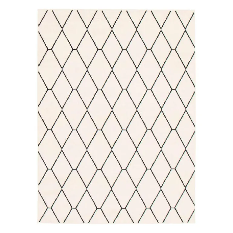 Indoor Rug - 8 x 10