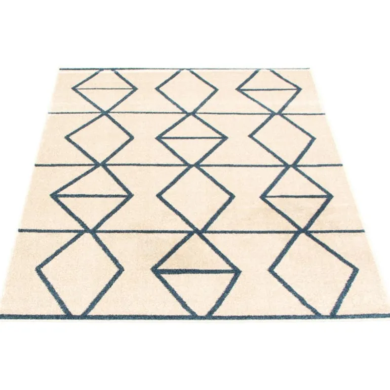 Indoor Rug - 4 x 6