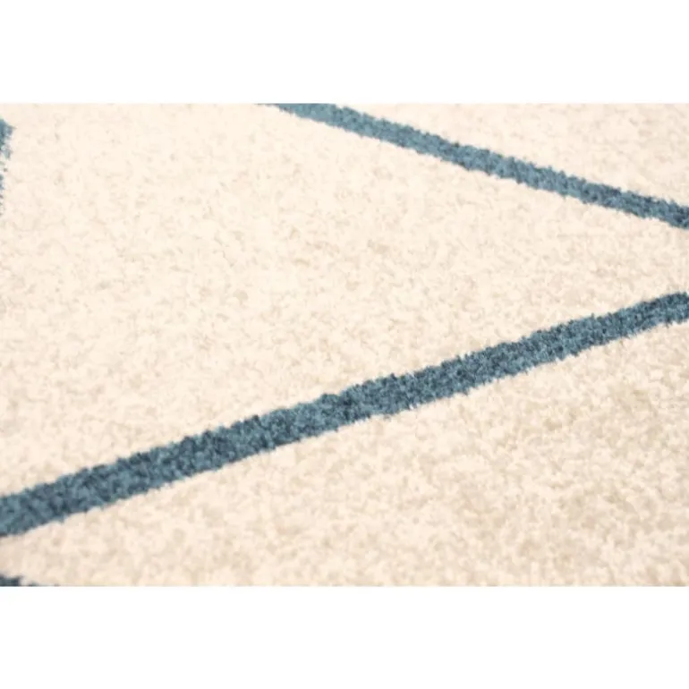 Indoor Rug - 4 x 6