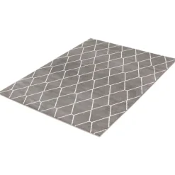 Indoor Rug - 7 x 10