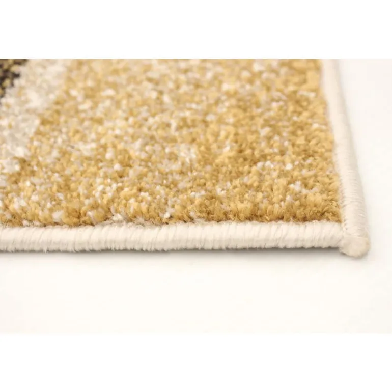 Indoor Rug - 4 x 6