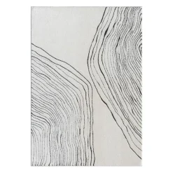 Indoor Rug - 5 x 8