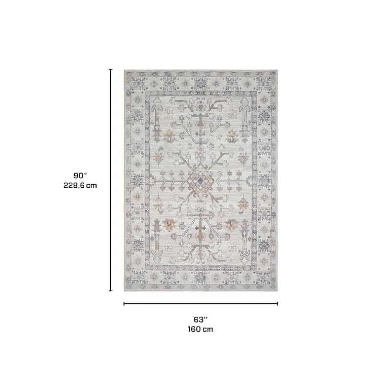 Machine Washable Indoor Rug - 5 x 7